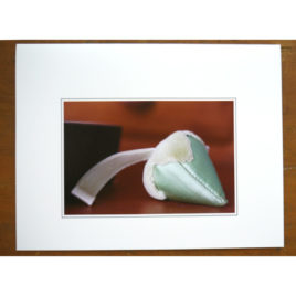 Sabbathday Lake Shaker Village Blank Card by Peg Becksvoort