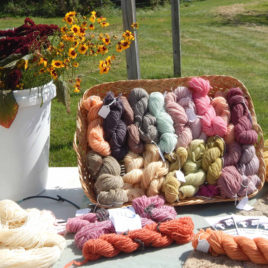 Natural Dyes for Wool Workshop
