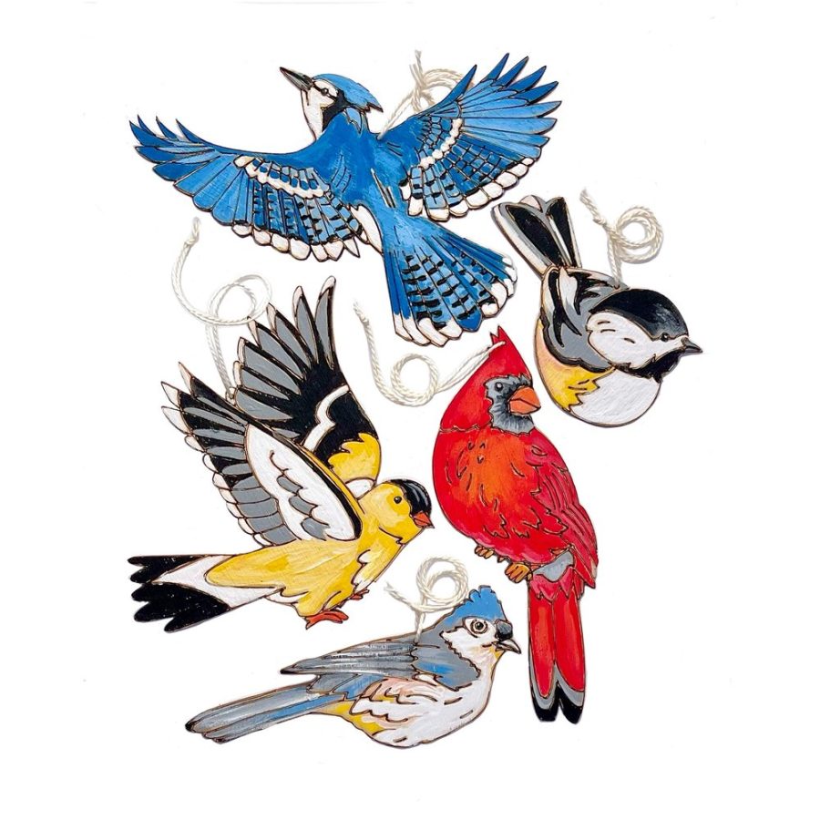 Heidi Boyd Whimsy Kit- Painting - Birds
