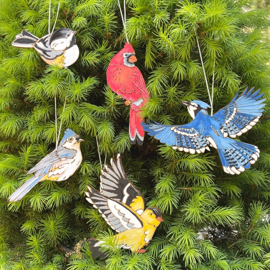 Heidi Boyd Whimsy Kit- Painting - Birds