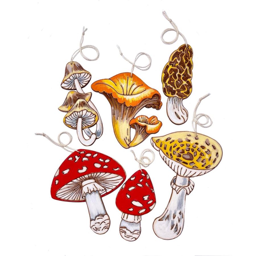 Heidi Boyd Whimsy Kit- Painting - Mushrooms