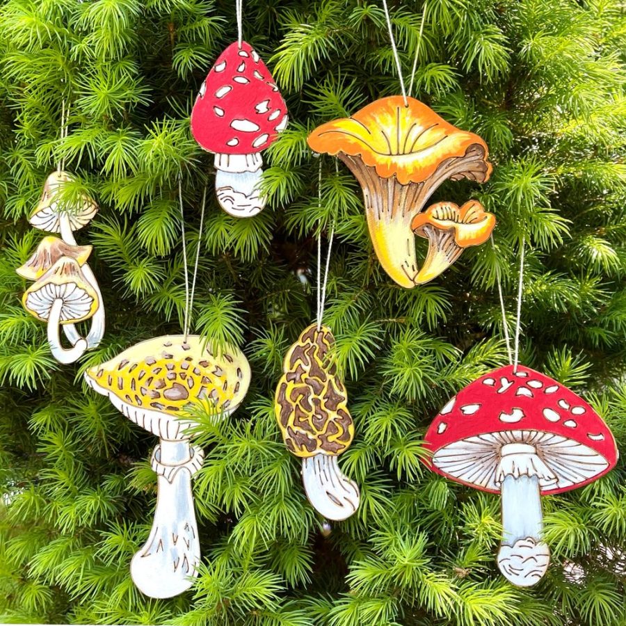 Heidi Boyd Whimsy Kit- Painting - Mushrooms