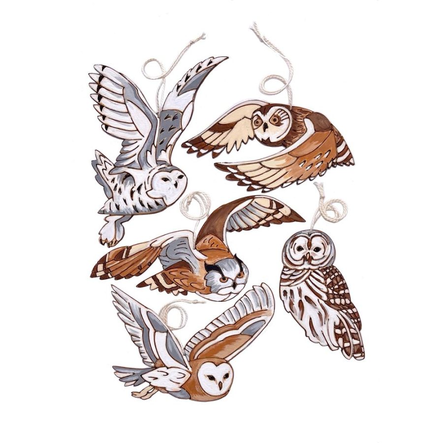 Heidi Boyd Whimsy Kit- Painting - Owls