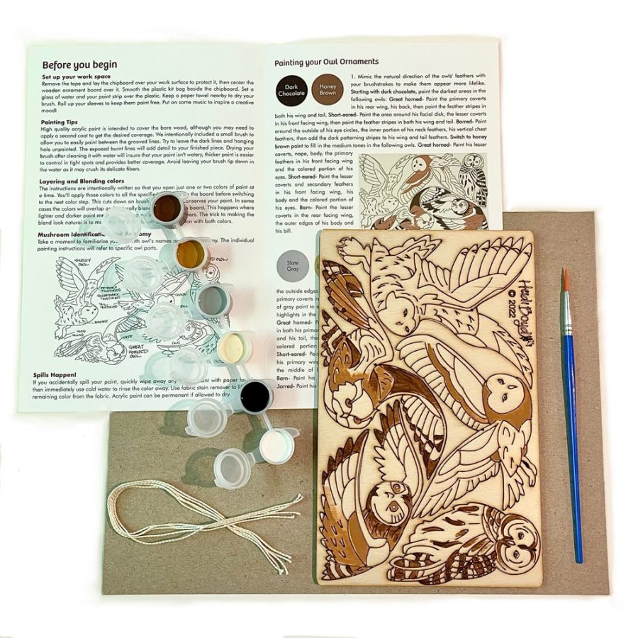 Heidi Boyd Whimsy Kit- Painting - Owls