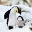 Heidi Boyd Penguins Whimsy Kit - Stitched Felt