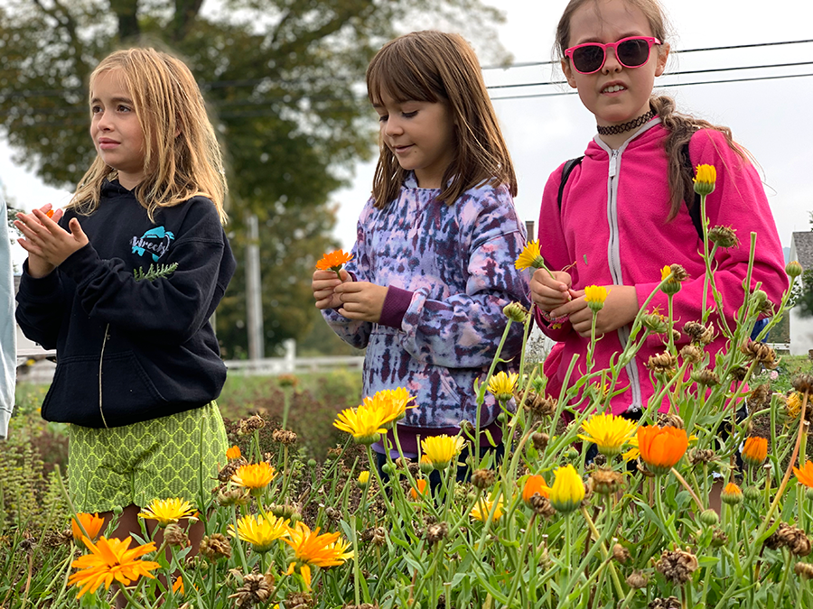 Girl Scouts of Maine Gardening with Shaker Village