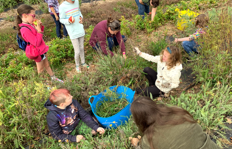 Girl Scouts of Maine Gardening with Shaker Village