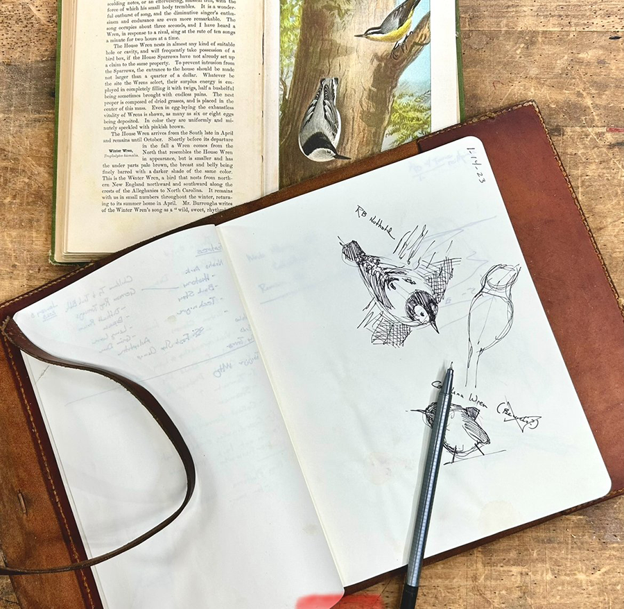 Nature Journaling at the Shaker Bog
