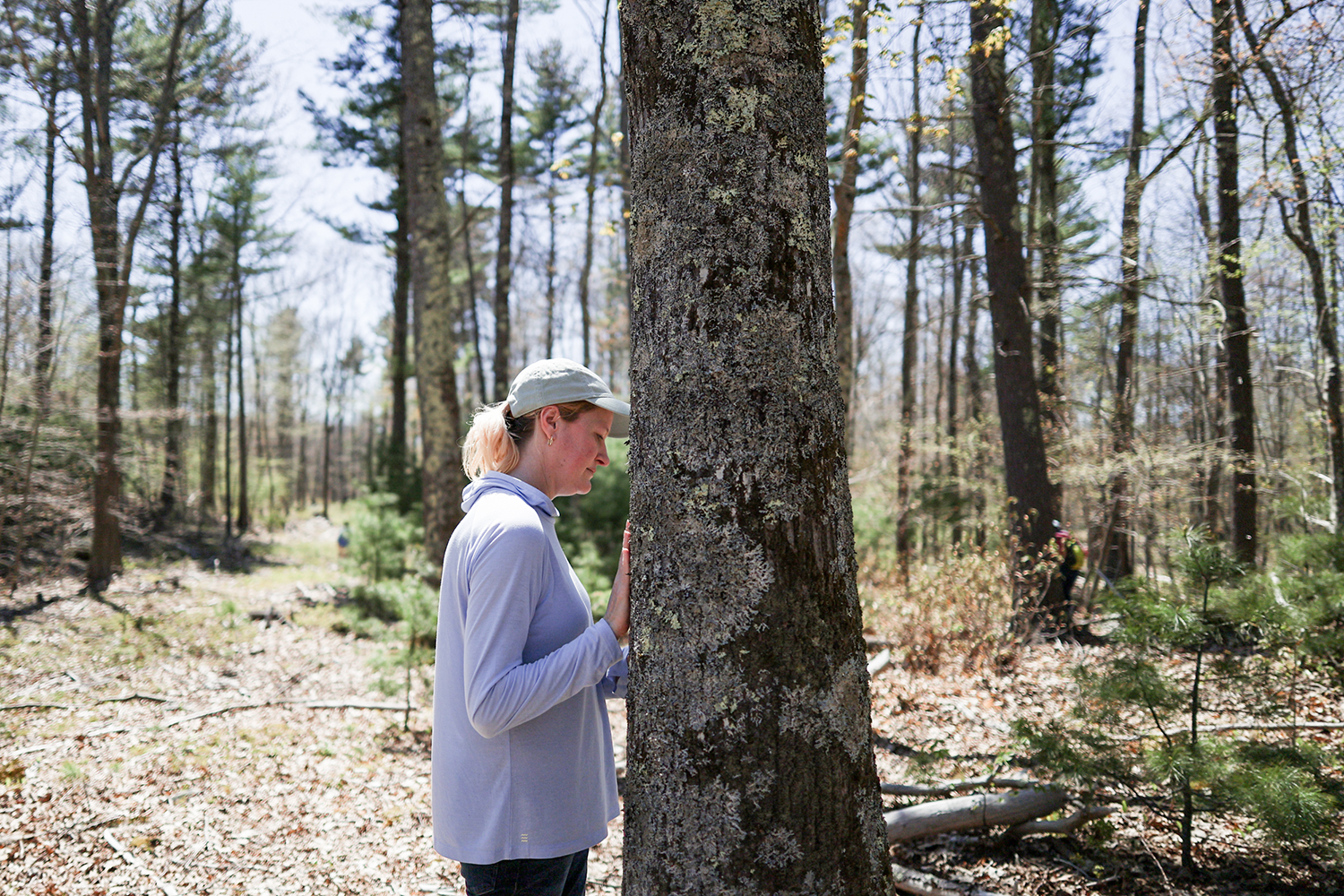 Nature Therapy with Blue Fern Forest Therapy at the Shaker Bog