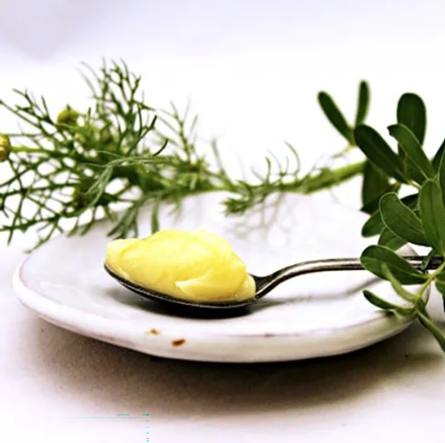 Pickle's Potions - Willow Bark Pain Salve Rub