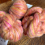 Sherbet Merino Wool Roving by Ewes to You, Betsey Leslie