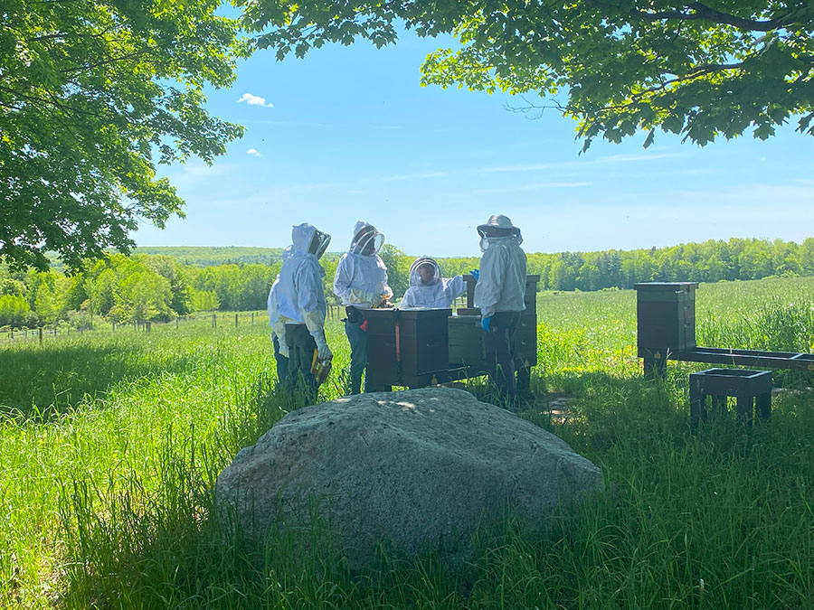 Beekeeping Intro: The Honey Bee Experience