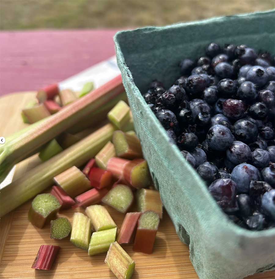 Maine Homestead Blueberry Rhubarb Jam